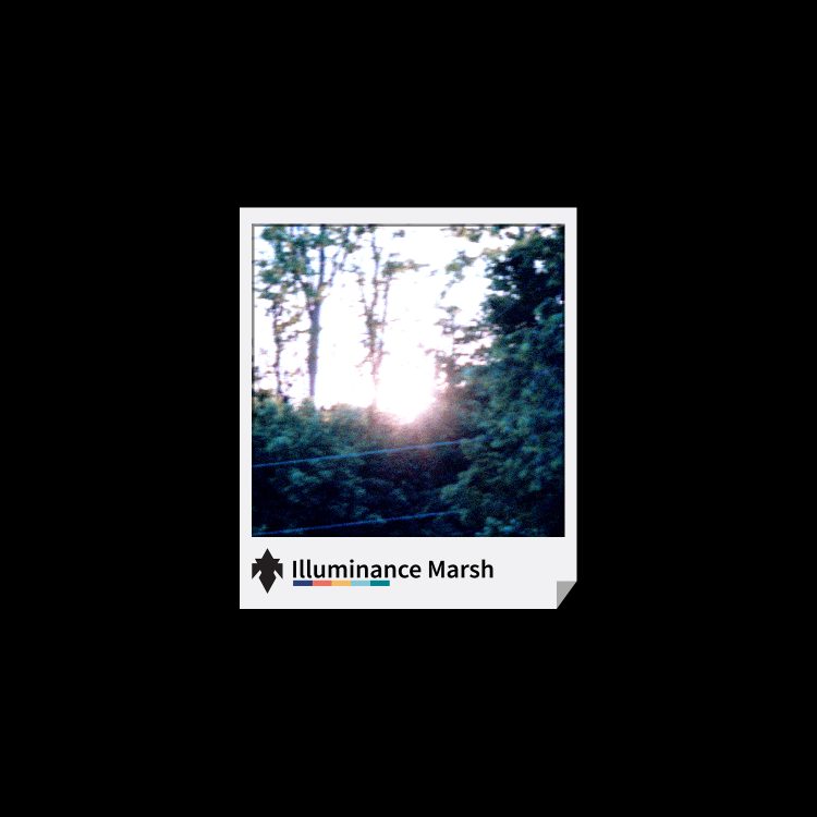 illmarshcover final noskyler